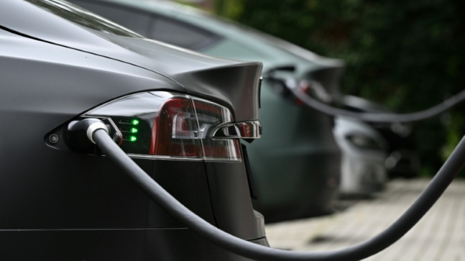 Bericht: Auff&auml;llig viele Arbeitsunf&auml;lle in deutscher Tesla-Fabrik