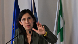 Schlein, patrioti espongono l'Italia a un crollo di credibilit&agrave;