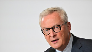 Bruno Le Maire pr&ocirc;ne une "Communaut&eacute; europ&eacute;enne de l'intelligence artificielle"