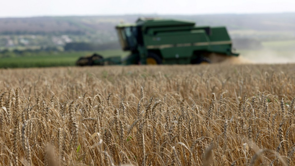 Deutsche Wirtschaft f&uuml;r st&auml;rkere Integration ukrainischer Unternehmen