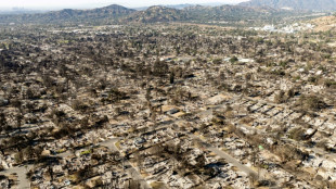 Catastrophes naturelles: les incendies de Los Angeles font gonfler pertes économiques au 1S