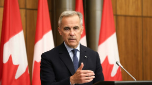 Canadá anuncia intención de reconocer el Estado palestino en septiembre