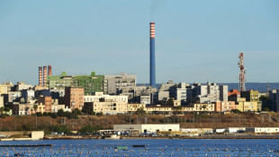 La plus grande aci&eacute;rie d'Italie pourrait passer &agrave; l'&eacute;lectrique, selon le gouvernement
