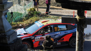 WRC: Neuville en t&ecirc;te du rallye du Japon avant la derni&egrave;re journ&eacute;e