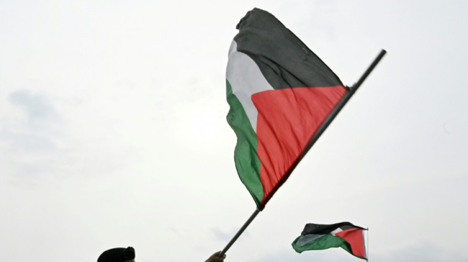 Aktivisten der Gaza-Flotte aus Israel abgeschoben - Proteste in europ&auml;ischen St&auml;dten