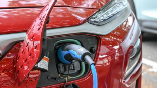 Zahl der Auto-Neuzulassungen im Juli gestiegen - Beliebt vor allem Hybridautos