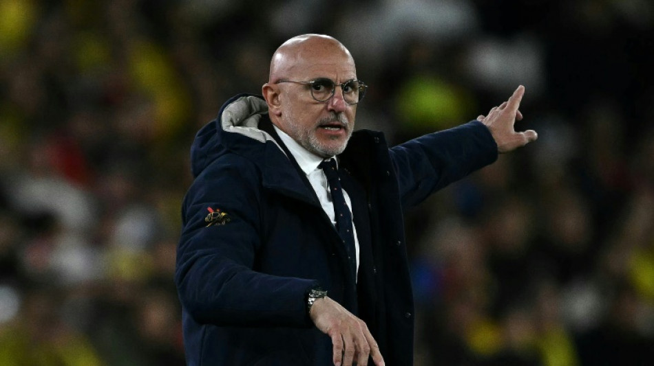 Amistoso contra Brasil 'poderia ser final de Copa', diz t&eacute;cnico da Espanha