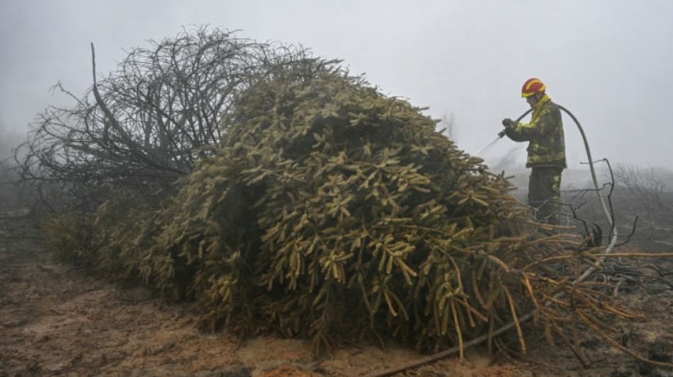 Belgique: l'incendie a pu &ecirc;tre "encercl&eacute;" mais la situation "reste compliqu&eacute;e"