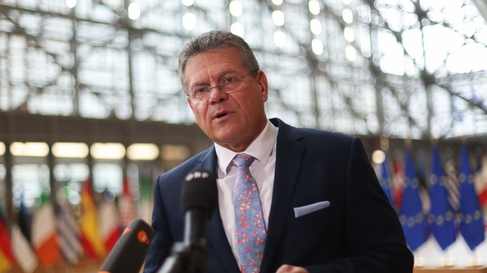 Ue, incontro Sefcovic-Greer sui dazi mercoled&igrave; a Parigi