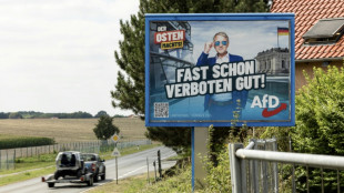 Umfragen sehen AfD in Th&uuml;ringen weiter vorn - Ramelow hofft auf Amtsbonus