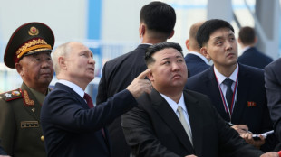 Vor Staatsbesuch: Putin dankt Nordkorea f&uuml;r Unterst&uuml;tzung von Offensive in Ukraine 