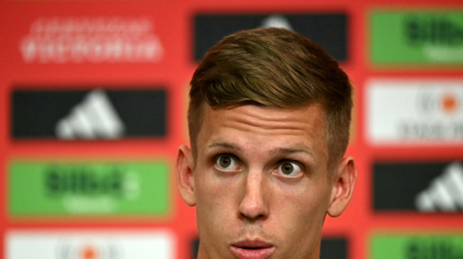 'S&oacute; pensamos na final, estamos a 90 minutos da gl&oacute;ria', diz Dani Olmo