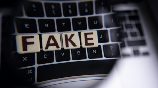 "Matriochka", la nouvelle campagne de désinformation anti-ukrainienne à destination des médias occidentaux