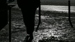 Urteil in Koblenz: Kein Schmerzensgeld nach Sturz auf historischem Kopfsteinpflaster