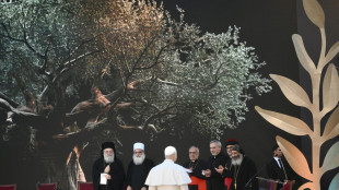 Leader sciita al Papa, aggrediti da Israele, aiutateci