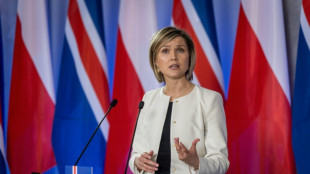 Iceland proposes August 29 referendum on resuming EU membership talks