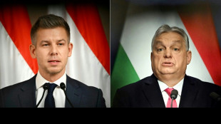 Serbiens Pr&auml;sident: Sprengstoff nahe Gaspipeline nach Ungarn entdeckt