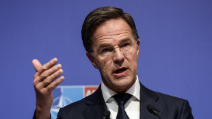 Rutte, 'Europa garantir&agrave; il 70% delle forze entro il 2032'
