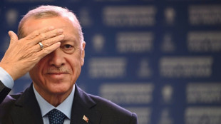 Erdogan, o 'rais' invencível