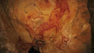 L'expo "Préhistomania" redonne vie aux relevés d'art rupestre du XXe siècle
