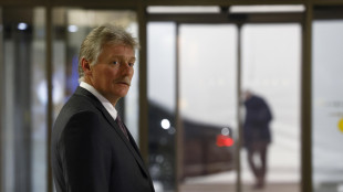 Cremlino, 'da Rutte dichiarazioni irresponsabili sulla guerra'