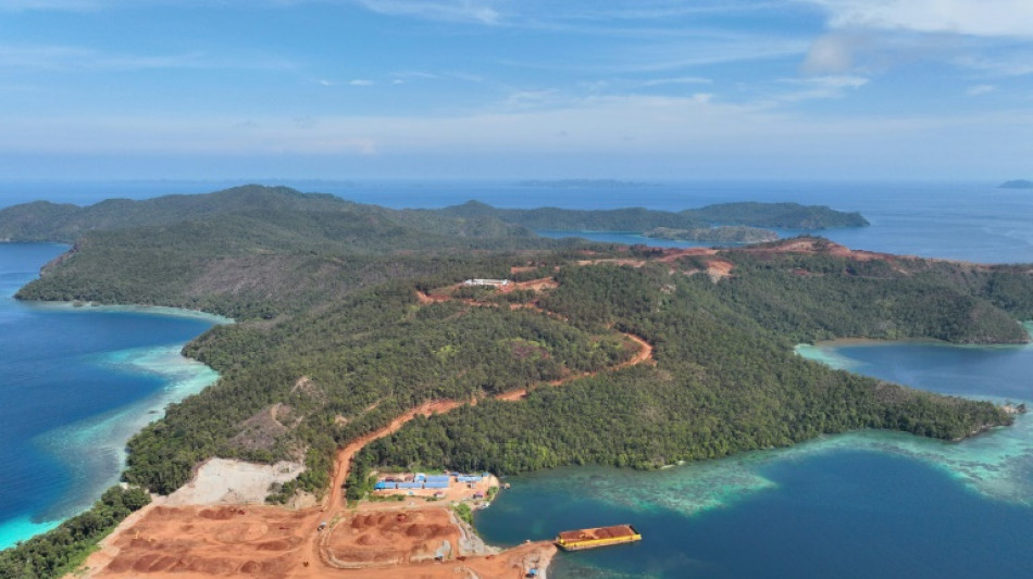 Explotación de níquel amenaza importante reserva de biodiversidad marina en Indonesia