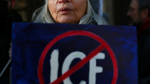 France grants safe haven to anti-Kremlin couple detained by ICE