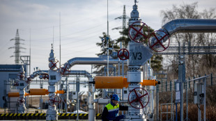 Il gas chiude in calo a 33,6 euro sulla piazza Ttf di Amsterdam