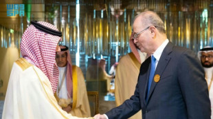 Gipfeltreffen arabischer und muslimischer L&auml;nder zur Nahost-Krise