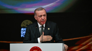 Drei Kinder pro Familie: Erdogan ruft wegen Geburtenrückgangs "Jahrzehnt der Familie" aus