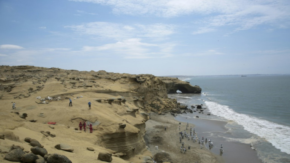 Per&uacute; declara "emergencia ambiental" por un derrame de petr&oacute;leo en el mar