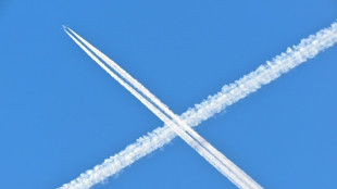 Tesla, airline shares take off