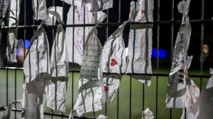 After fire tragedy, small Swiss town mourns 'decimated generation'