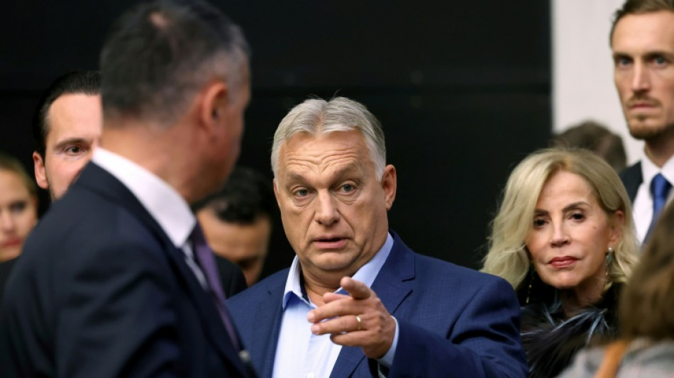 Orban will bei Trump-Sieg "mehrere Flaschen Champagner &ouml;ffnen"