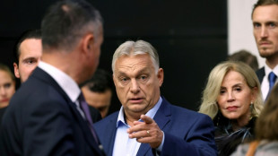 Orban will bei Trump-Sieg "mehrere Flaschen Champagner &ouml;ffnen"