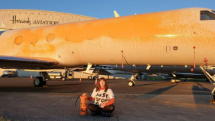 Klimaaktivistinnen bespr&uuml;hen Privatjets nahe London - vor Taylor-Swift-Konzerten