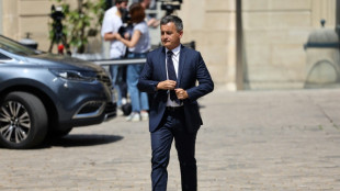 El ministro franc&eacute;s pide "disculpas" por el caos en la final de Champions