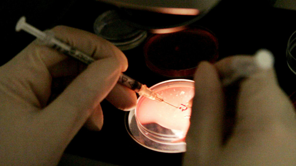 Media, 200 beb&egrave; nati in Europa da un donatore di sperma a rischio cancro