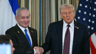 Israel unterstützt Trump-Friedensplan für Gazastreifen - Netanjahu droht der Hamas