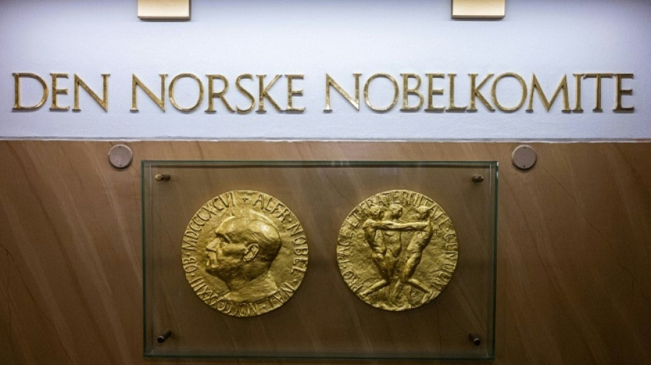 Knapp 300 Vorschl&auml;ge f&uuml;r diesj&auml;hrigen Friedensnobelpreis - Auch Trump wieder dabei