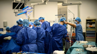 Abgeordnete unternehmen neuen Anlauf f&uuml;r Widerspruchsl&ouml;sung bei Organspende