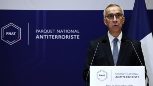 Atacante franc&eacute;s dispar&oacute; intencionalmente contra musulmanes y africanos (fiscal)