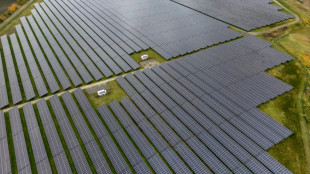 Deutschlands CO2-Aussto&szlig; 2025 weiter gesunken - R&uuml;ckgang verlangsamt sich jedoch