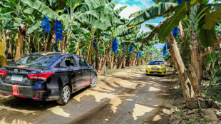 Bananera Chiquita inicia recontratación de trabajadores despedidos en Panamá