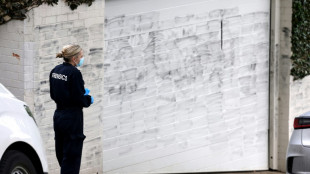 Vandals paint anti-Israel graffiti, burn car in Sydney