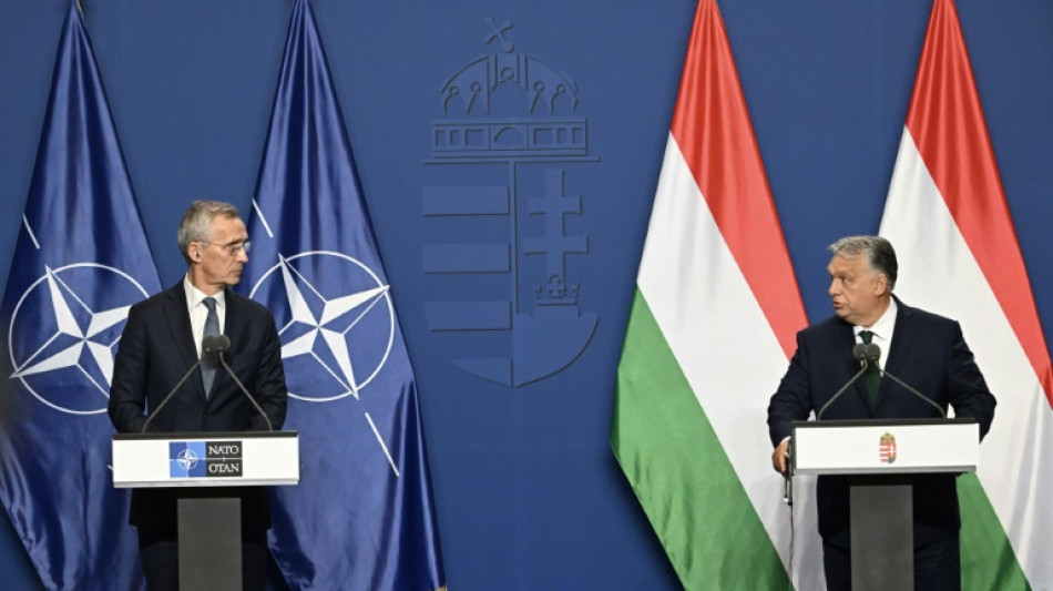 Ungarn will st&auml;rkere Rolle der Nato bei Ukraine-Unterst&uuml;tzung nicht blockieren