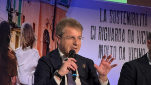 Gallo (Invitalia), '2,5 miliardi per la sostenibilità nel 2023'