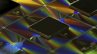 Observing quantum weirdness in our world: Nobel physics explained