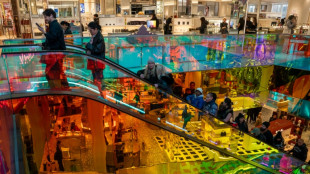 R&eacute;cord de 10.800 millones de d&oacute;lares gastados en l&iacute;nea en EEUU durante el "Black Friday"