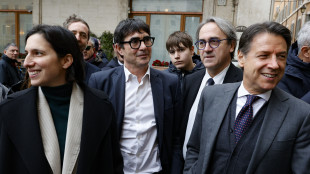 Opposizioni lavorano a risoluzione unitaria contro Board of Peace